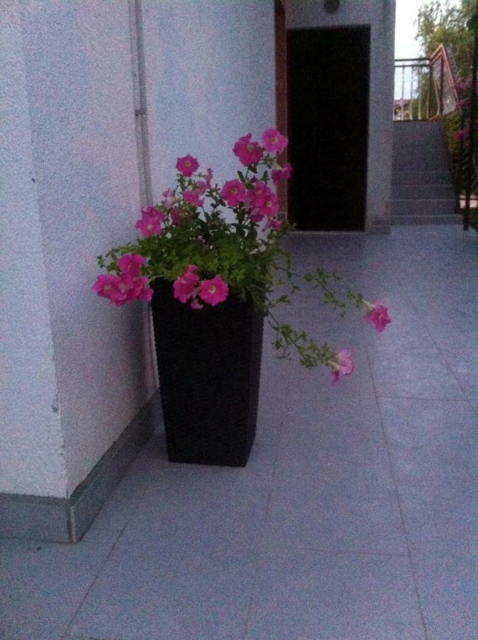 Apartmani Jadranka Vodice Exterior foto